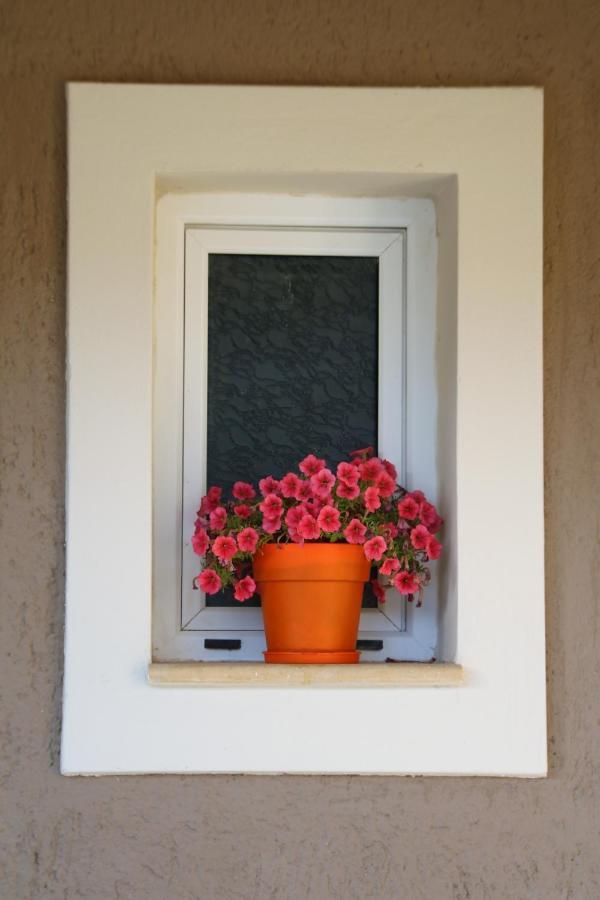 Nikoleta'S Studios Argostoli  Buitenkant foto